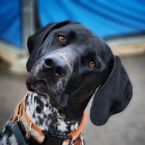 Meet your Posher, Jenni